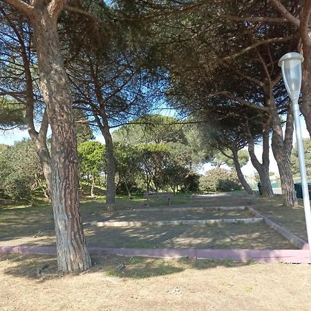 Ferienwohnung Lara 3 - T2 Loggia Piscine 2 Lits Doubles Parking Pres Du Centre-Port Et Ile Loisirs Agde Exterior foto