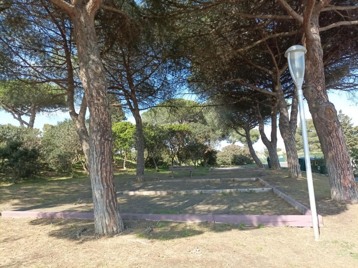Ferienwohnung Lara 3 - T2 Loggia Piscine 2 Lits Doubles Parking Pres Du Centre-Port Et Ile Loisirs Agde Exterior foto